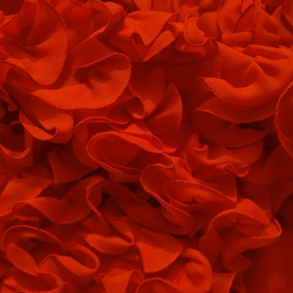 Vintage Red Ruffle 50s Style Robe - Picture 13 of 13